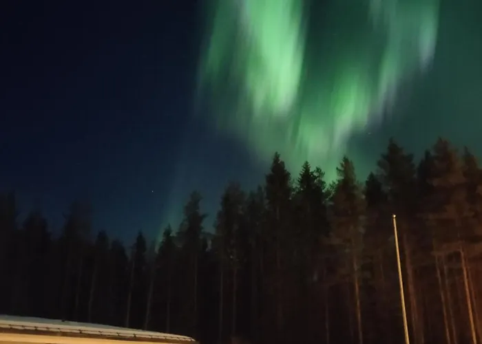 Lapland Homestead - Authentic Finnish Hideaway Rovaniemi